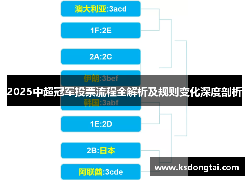 2025中超冠军投票流程全解析及规则变化深度剖析