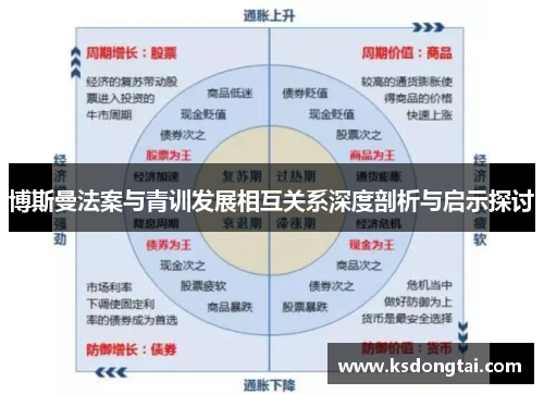 博斯曼法案与青训发展相互关系深度剖析与启示探讨